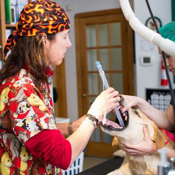 a person holding a dog with a tube in mouth