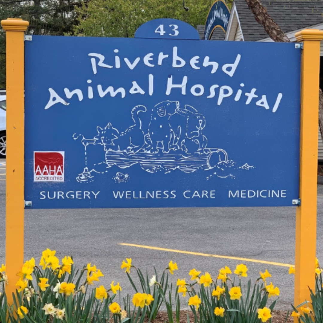 Riverbend Animal Hospital Sign