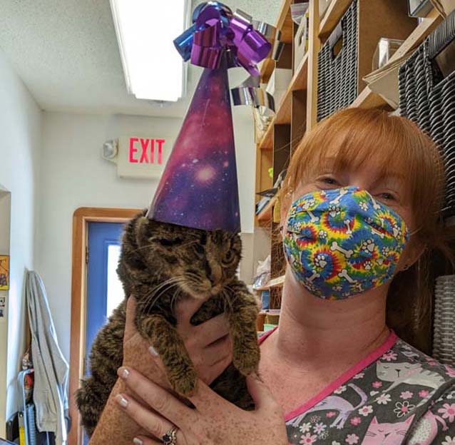 veterinarian holding a cat wearing a party hat