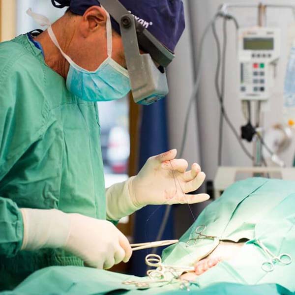 a veterinarian performing surgery on a patient